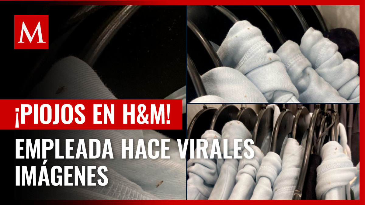 Empleada de H&M encuentra piojos en la ropa