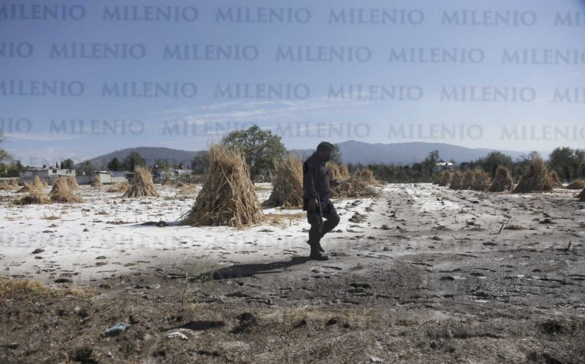 Granizada en San Sebastián Villanueva | Andrés Lobato