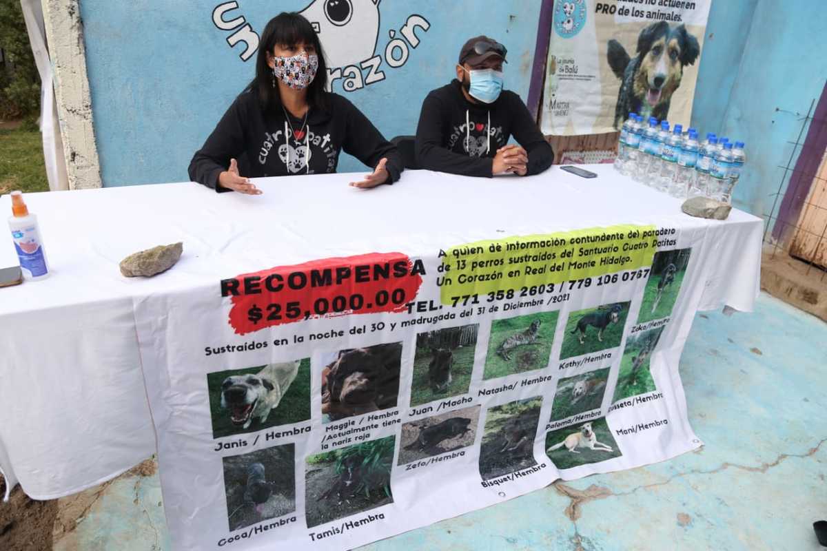 Lorena Rivera y Pedro Guerrero encargados del santuario animal Cuatro Patitas (Jorge Sánchez)