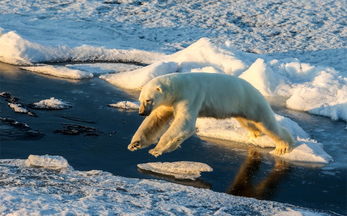 Advierten sobre aumento de calor en océanos (dpa).