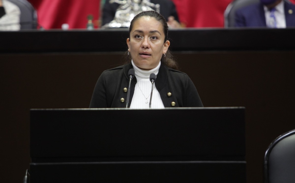 La diputada Elizabeth Pérez afirmó que en Veracruz se vive un clima de desconcierto e intranquilidad. | Especial