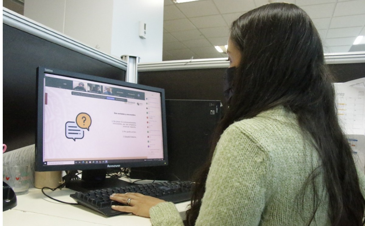 Tamaulipecos egresados de universidades buscan empleo por internet.