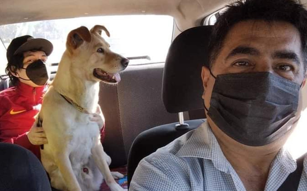 El conductor se volvió viral. (Twitter)