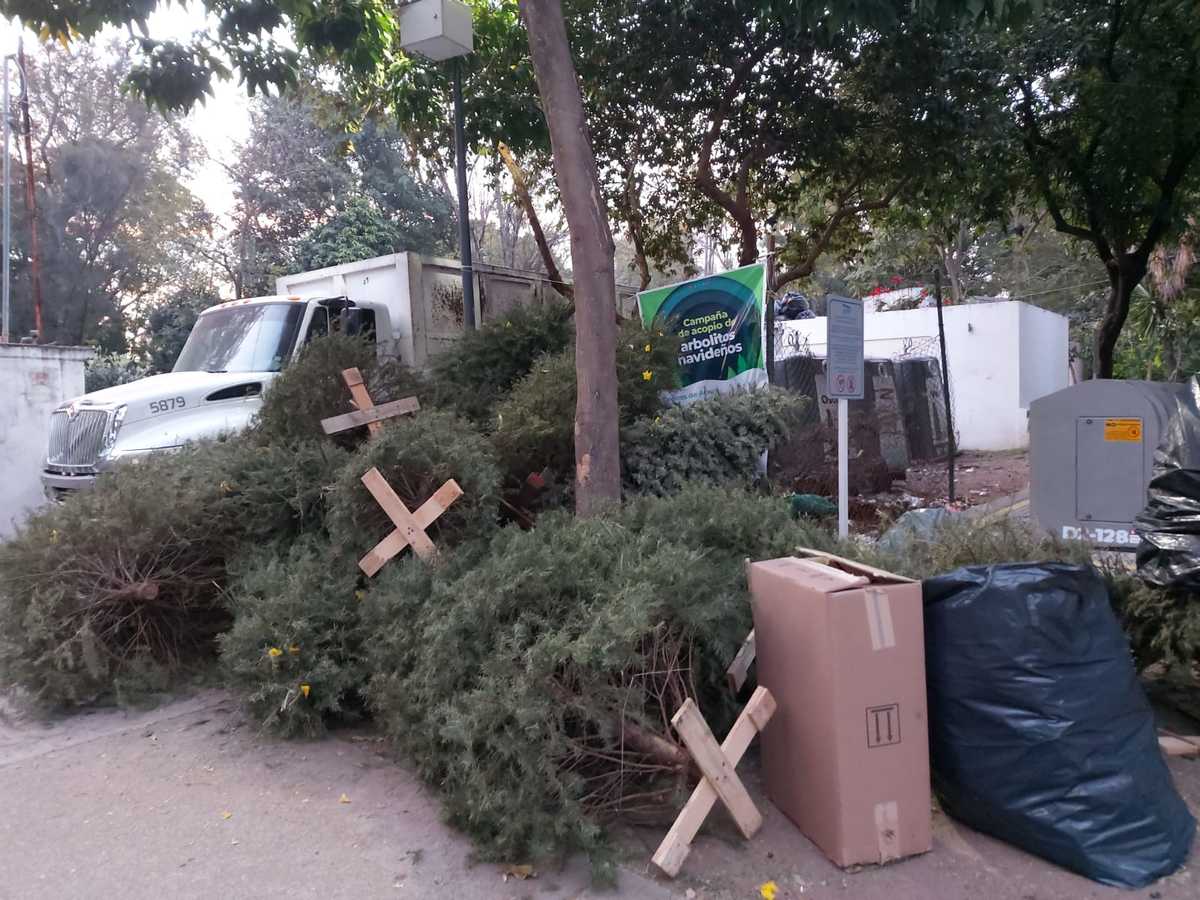 Se habilitaron 15 centros de acopio en Guadalajara. (Rosario Álvarez)