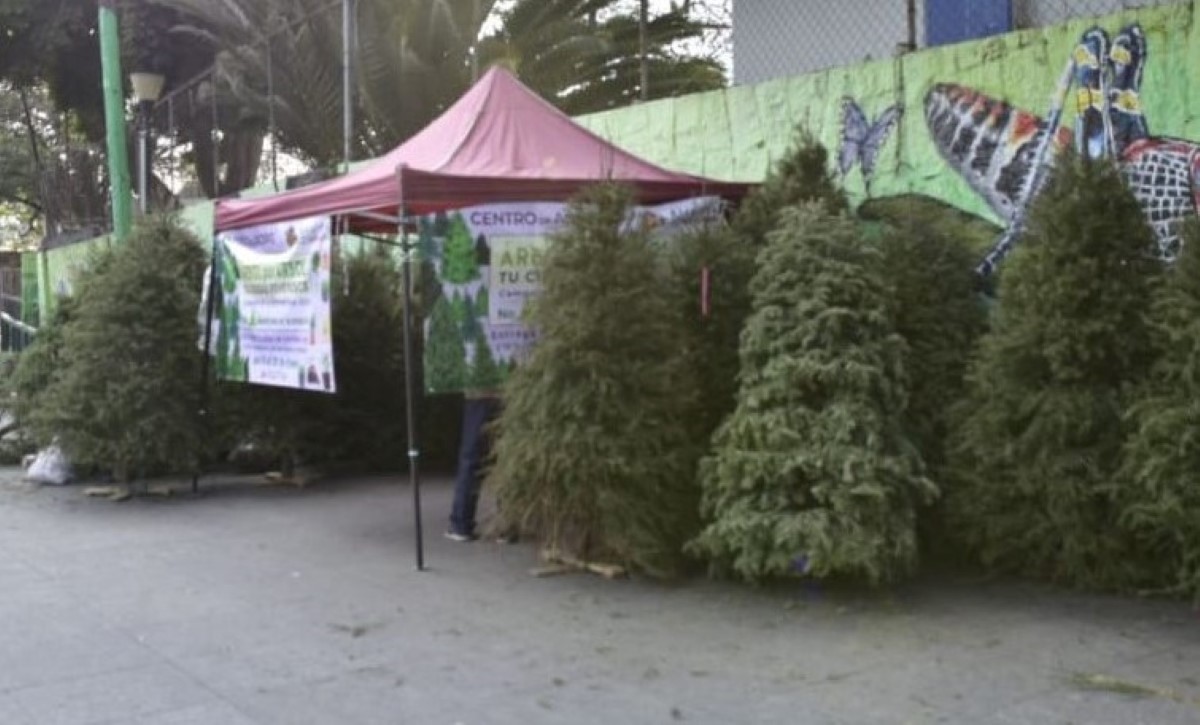 Iztapalapa abrió centros de acopio para árboles de Navidad. | Especial
