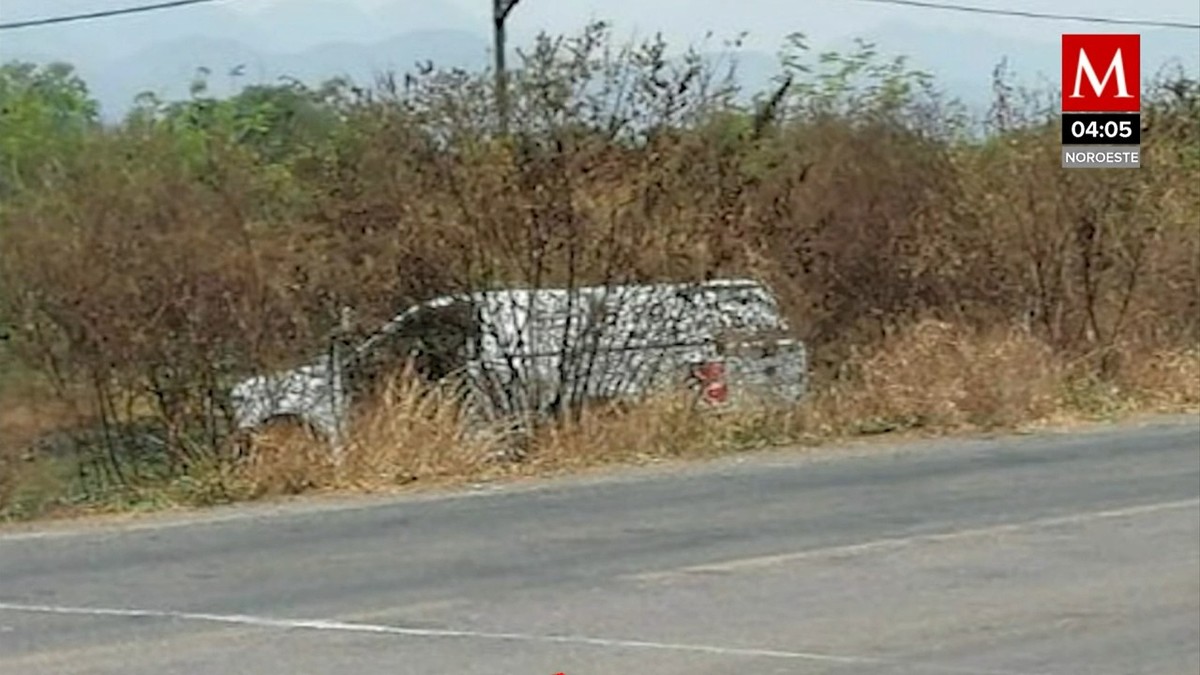 Localizan varias fosas clandestinas en Tecomán, Colima