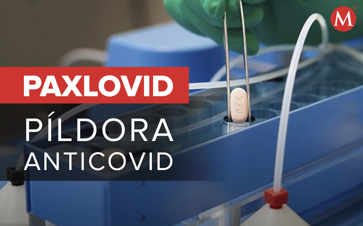 Pastilla covid de Pfizer, Paxlovid. (AP)