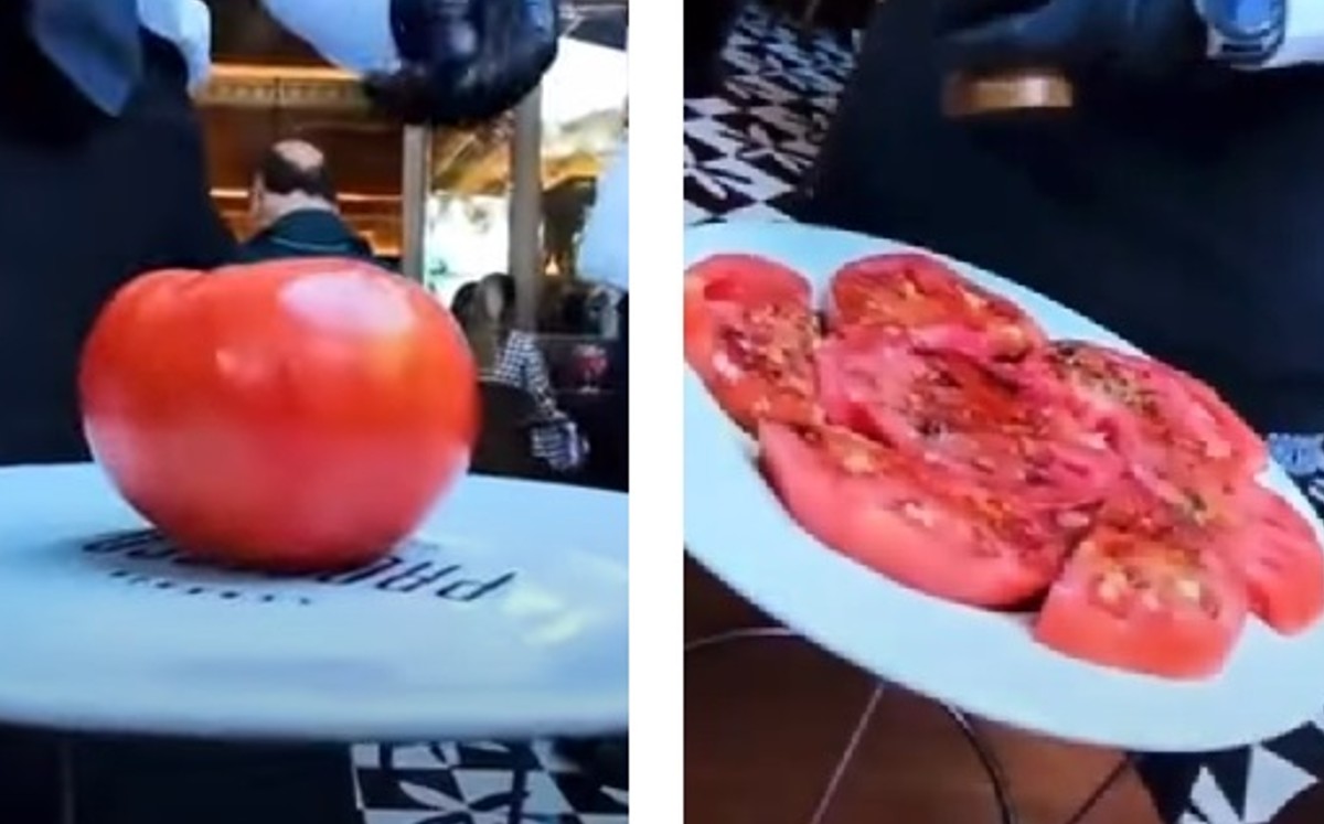 Este platillo se vende en el restaurante Prosecco, de Santa Fe. (Capturas)