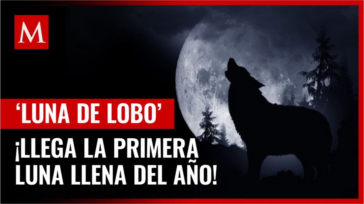 Luna de Lobo en México 2022: Este día podrás verla