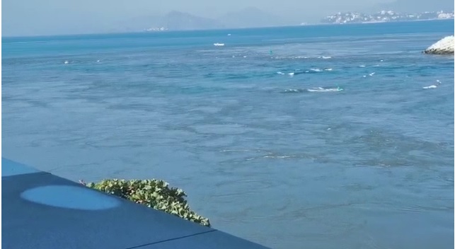 PC de Colima alerta por posibles afectaciones en costas tras erupción volcánica en Tonga
