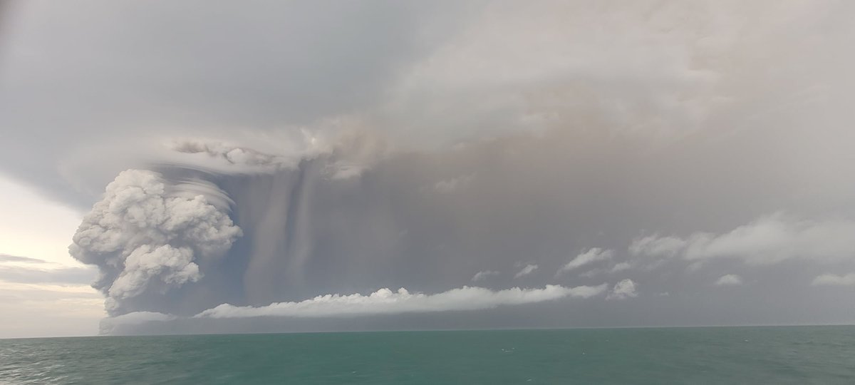 Un tsunami golpea la costa oeste de EE.UU. y Canadá tras la erupción en Tonga | Twitter @SkyAlertMx