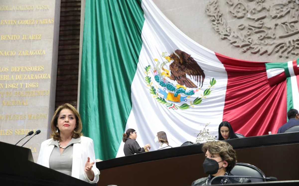 México es el quinto país con mayor número de defunciones por cada 100 mil habitantes, indicó la diputada. | Especial