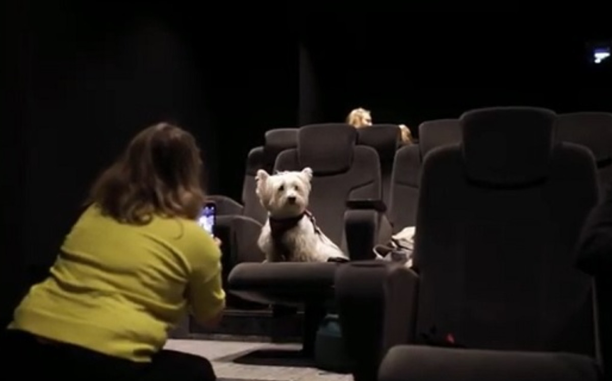 Abre el primer cine adaptado para perros en Manchester |DPA