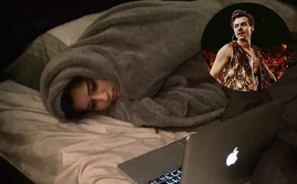Las fans de Harry Styles reaccionaron con memes tras agotarse los boletos (Especial).