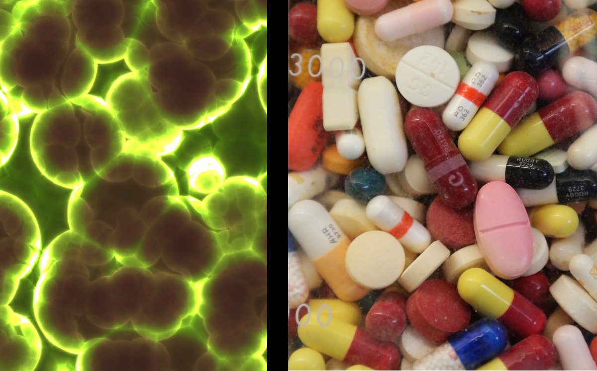 1,2 millones murieron en 2019 por infecciones resistentes a los antibióticos |Especial