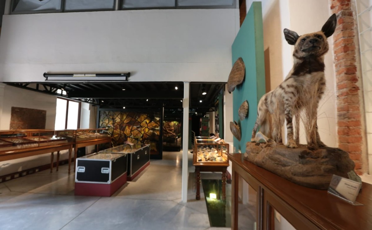 Cada una de las piezas que conforman al espacio conserva una relevancia para el patrimonio cultural. | Tania Contreras