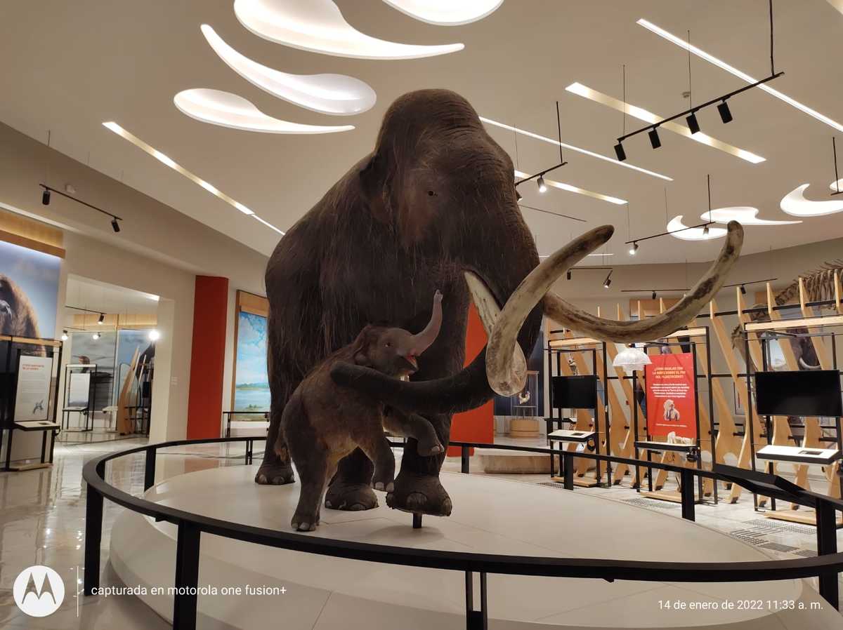 El museo tendrá acceso libre. (Michelle Mejía)