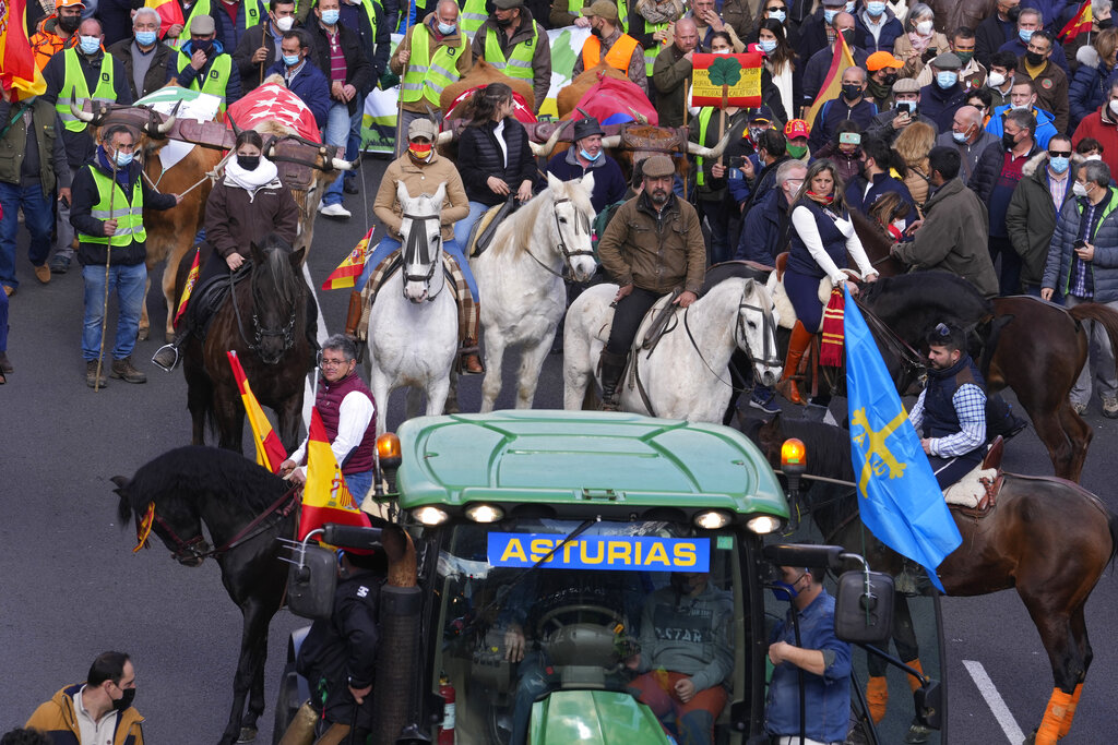 Protesta de agricultores en España | AP