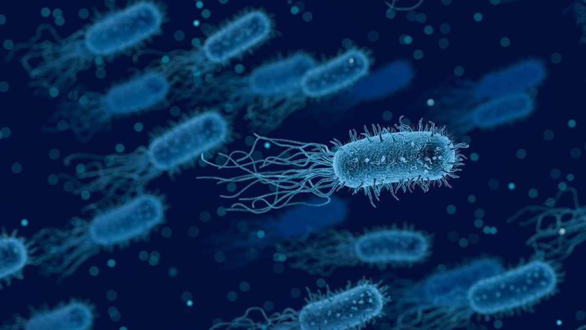 Científicos hallan bacteria que podría evitar infección y transmisión del SARS-CoV-2