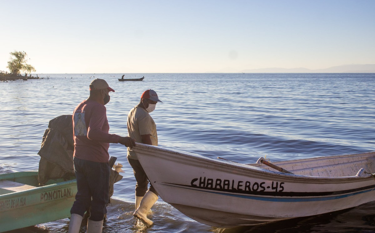 Pesca en Tamaulipas regresa a actividades. (Conapesca)