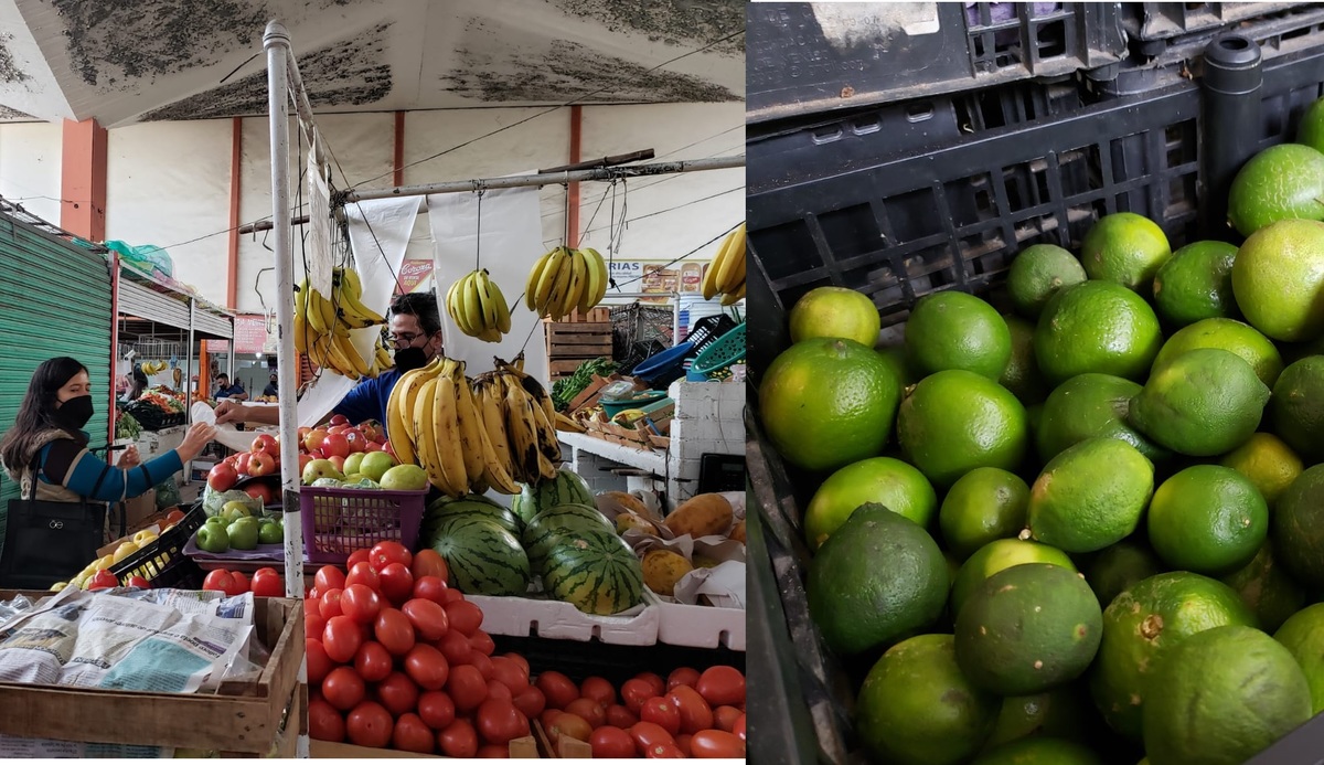 Reportan ligera baja en precio de limón. (Especial)