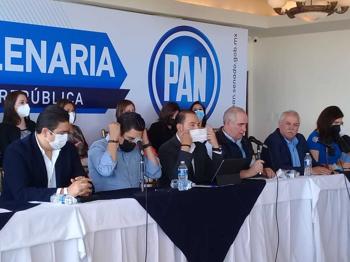 Senadores del PAN van a la defensa del INE (Foto: Sergio Sánchez)