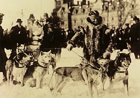 La carrera de sled dog quedó en el olvido (Especial)