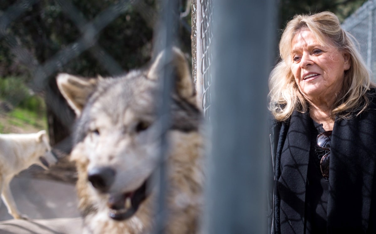 Martine Colette ayudó a crear normas para proteger a los animales exóticos de la extracción de su hábitat. | Especial