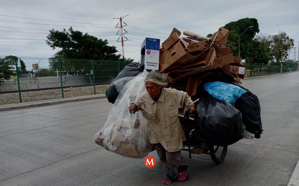 Doña Isabel recorre calles para recolectar cartón y obtener dinero para estudios de su hija. (Pablo Reyes)