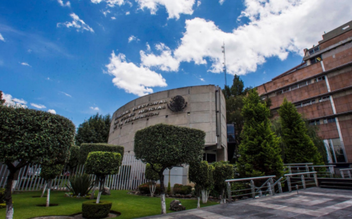 Tribunal Electoral del Estado de Puebla (TEEP) | Especial