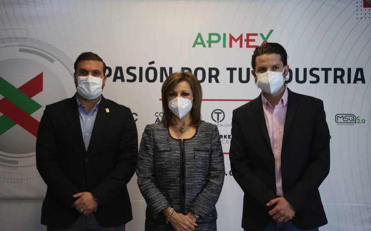 Ana María Carpio Mendoza es la primera mujer en ser nombrada como presidenta ejecutiva de Apimex.- Dany Béjar.