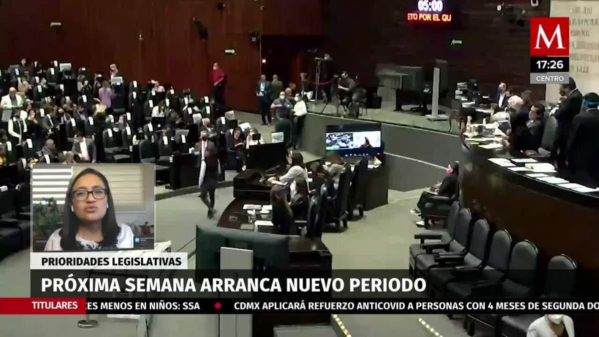 Próxima semana arranca nuevo periodo legislativo, diputada Morena
