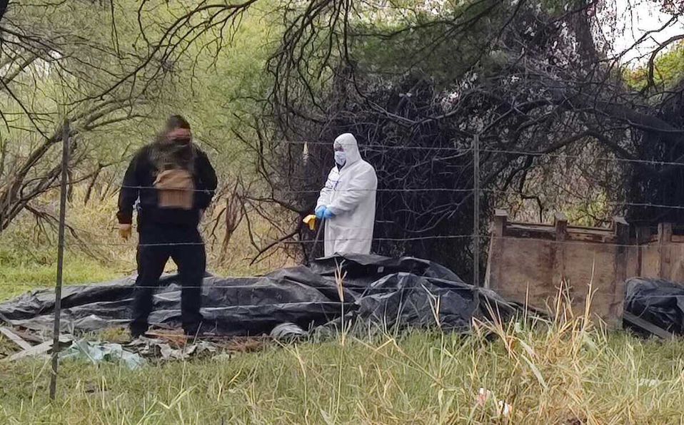 Los restos estaban enterrados en distintos puntos del despoblado. Foto: Agustín Martínez