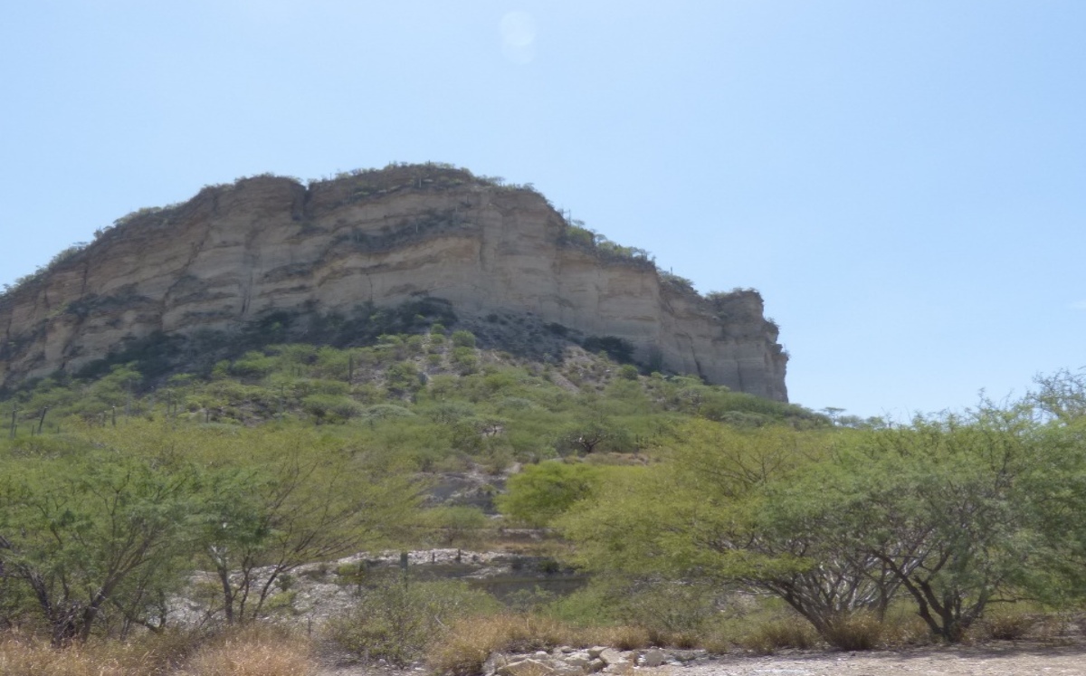 Proyectan la construcción del Museo Mesoamericano  del Origen de la Agricultura  en Coxcatlán | Apolonia Amayo