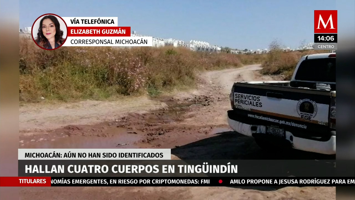 Hallan cuatro cuerpos en Michoacán; aún no son identificados