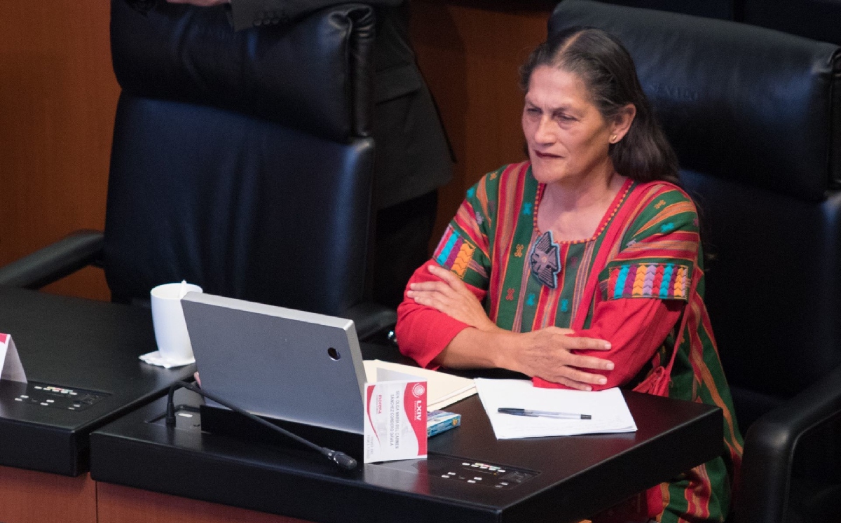 La senadora suplente de Olga Sánchez Cordero, Jesusa Rodríguez, en una sesión. | Cuartoscuro