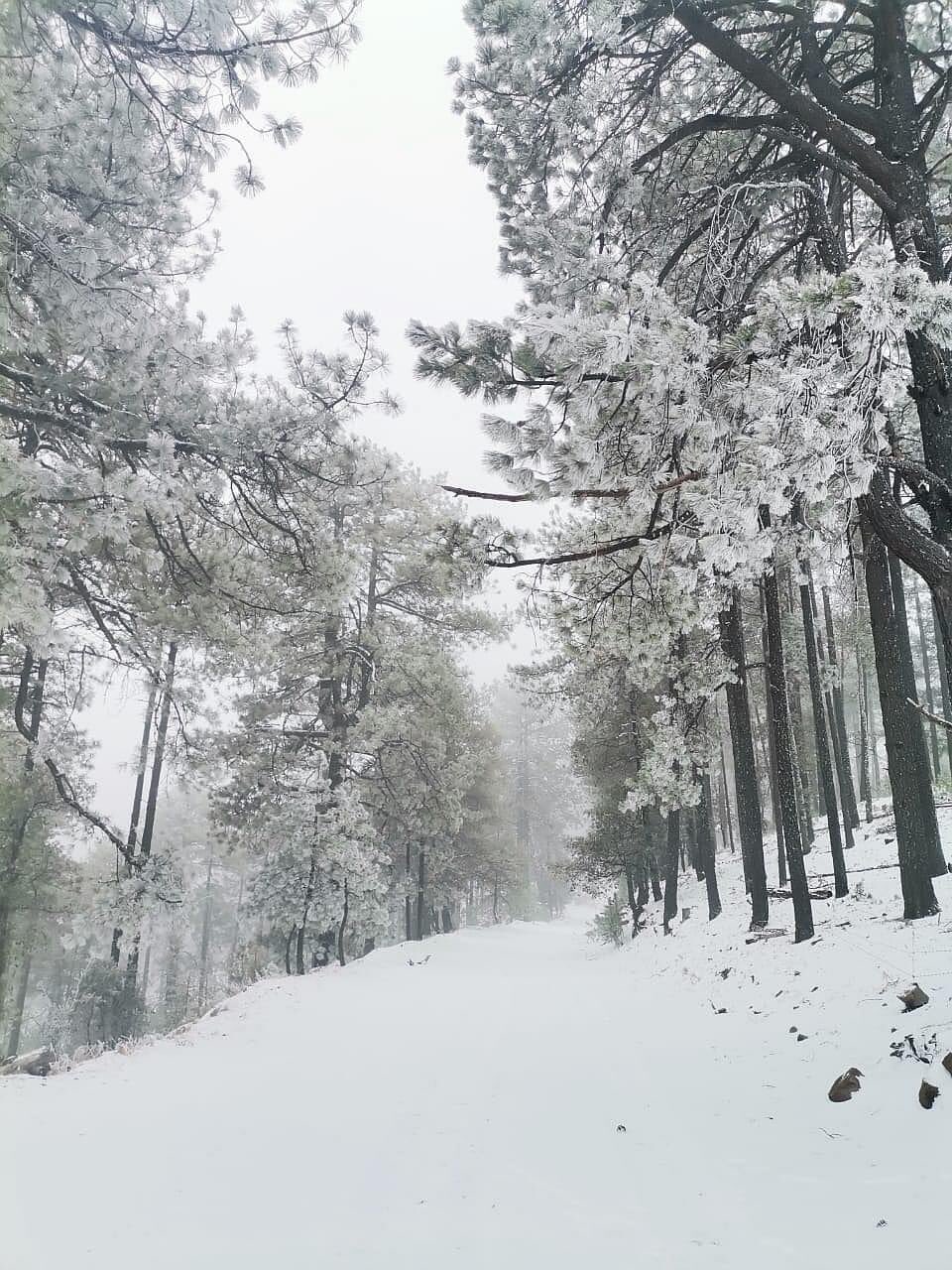 La nieve cubrió por completo algunas zonas. (Gabriela Medina)