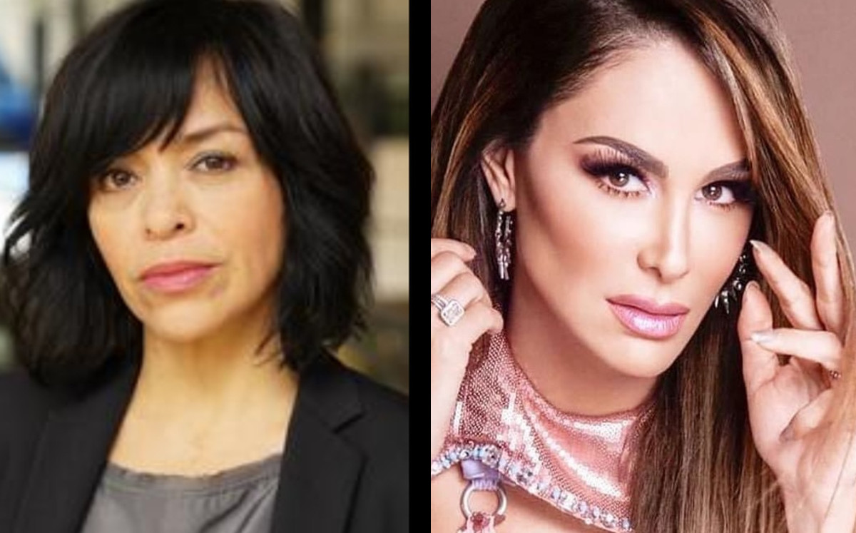 Anabel Hernández: hay investigaciones por delitos criminales contra Ninel Conde |Especial