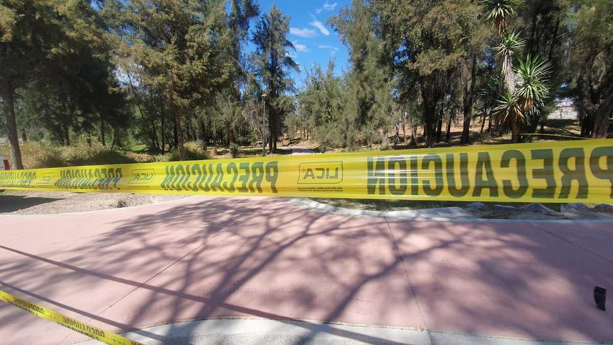 Hallan osamenta al interior de parque en Guadalajara
