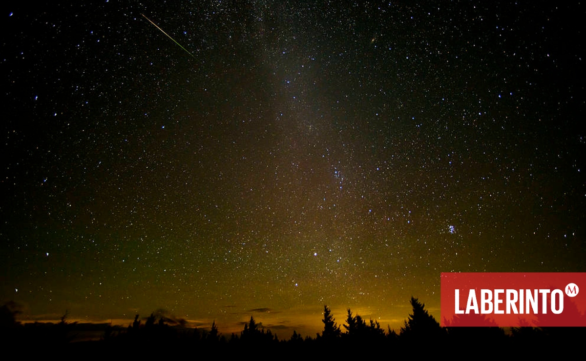 Un meteorito atraviesa el cielo durante la lluvia anual de meteoritos Perseidas el 12 de agosto de 2016 en Virginia, EEUU. (Foto: Bill Ingals | NASA)