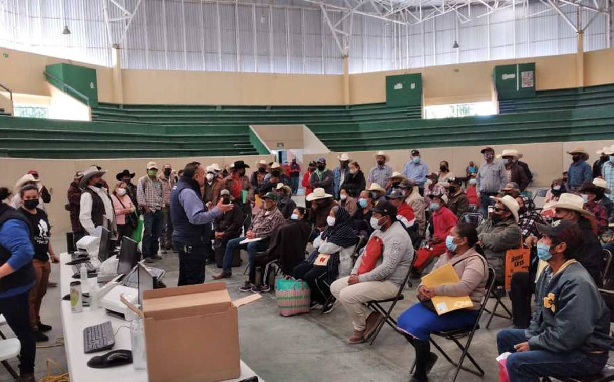 Se recibieron al menos 250 solicitudes de ganaderos.