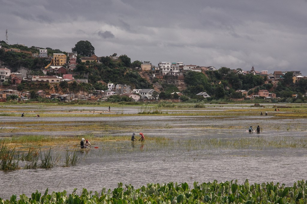 El ciclón Batsirai golpea la costa este de Madagascar