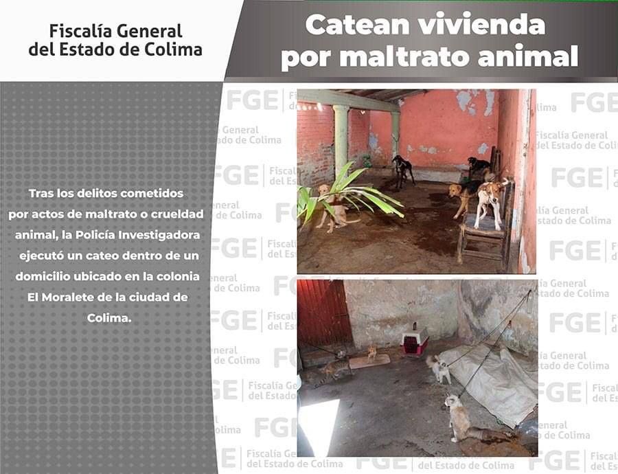 Los animales domésticos fueron puestos a salvo. (Arnoldo Delgadillo)