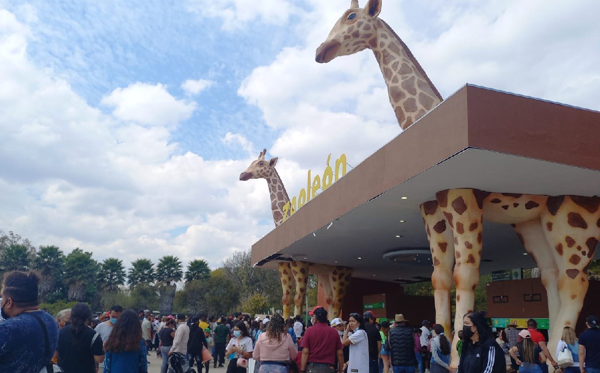 Abarrotan la entrada para el Zoológico de León / Ana Ortigoza