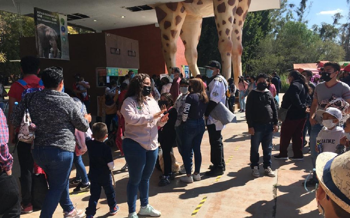 Llegan a Zoológico de León más de 10 mil visitantes / Cortesía