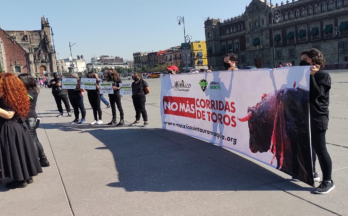 Manifestaron contra corridas de toros (César  Velázquez)