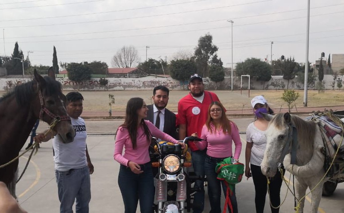 Recibieron a los equinos para recuperar su salud y jubilarlos. . (Especial)