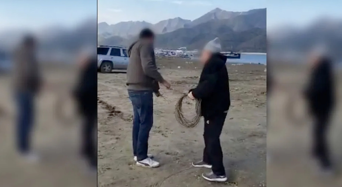 Una mujer grabó el momento y los confrontó. Foto: Especial