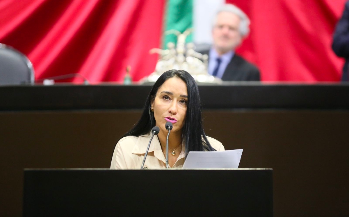 La diputada de Morena Karla Yuritzi Almazán durante una de sus participaciones. | Especial