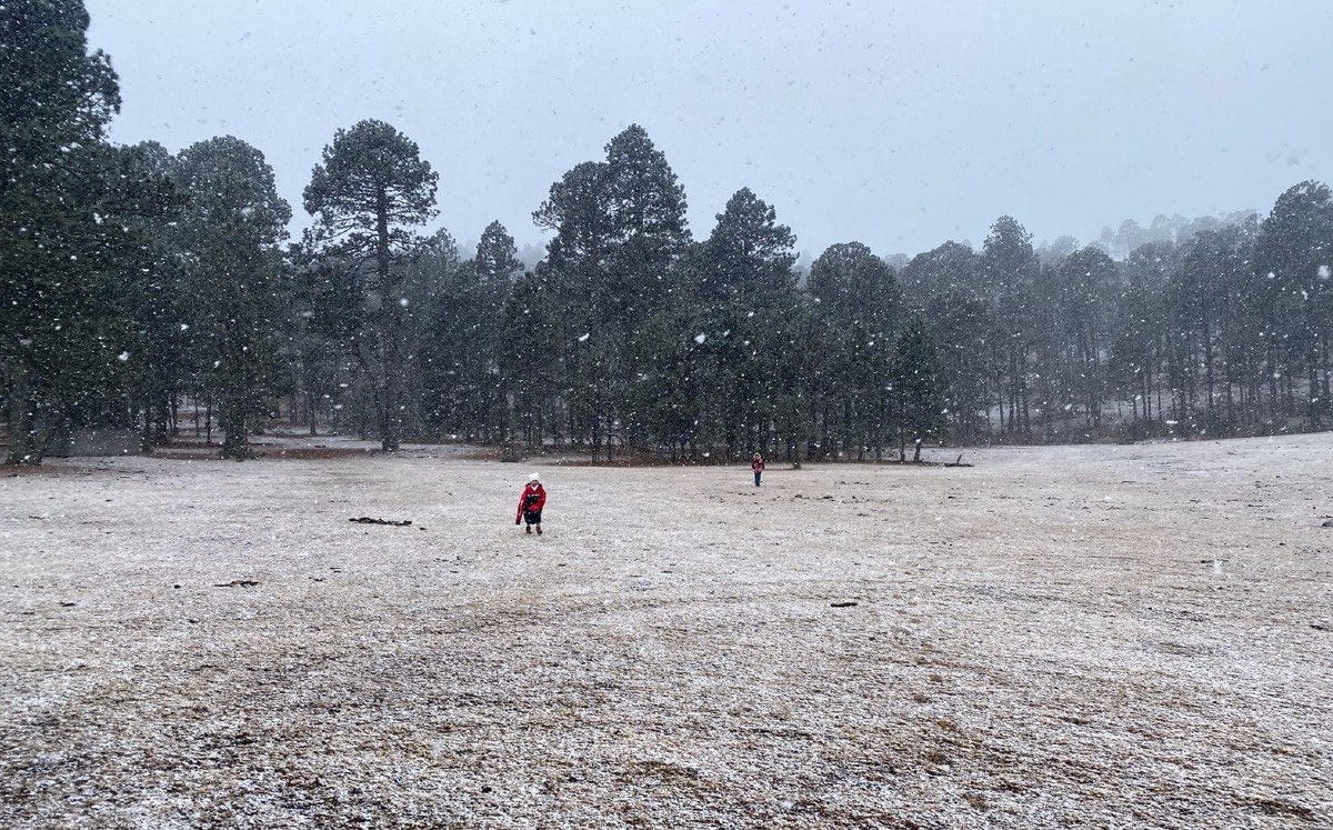 Reportan caída de nieve en Tamaulipas hoy 7 de febrero 2022. (Hostal SPA Sol y Luna)